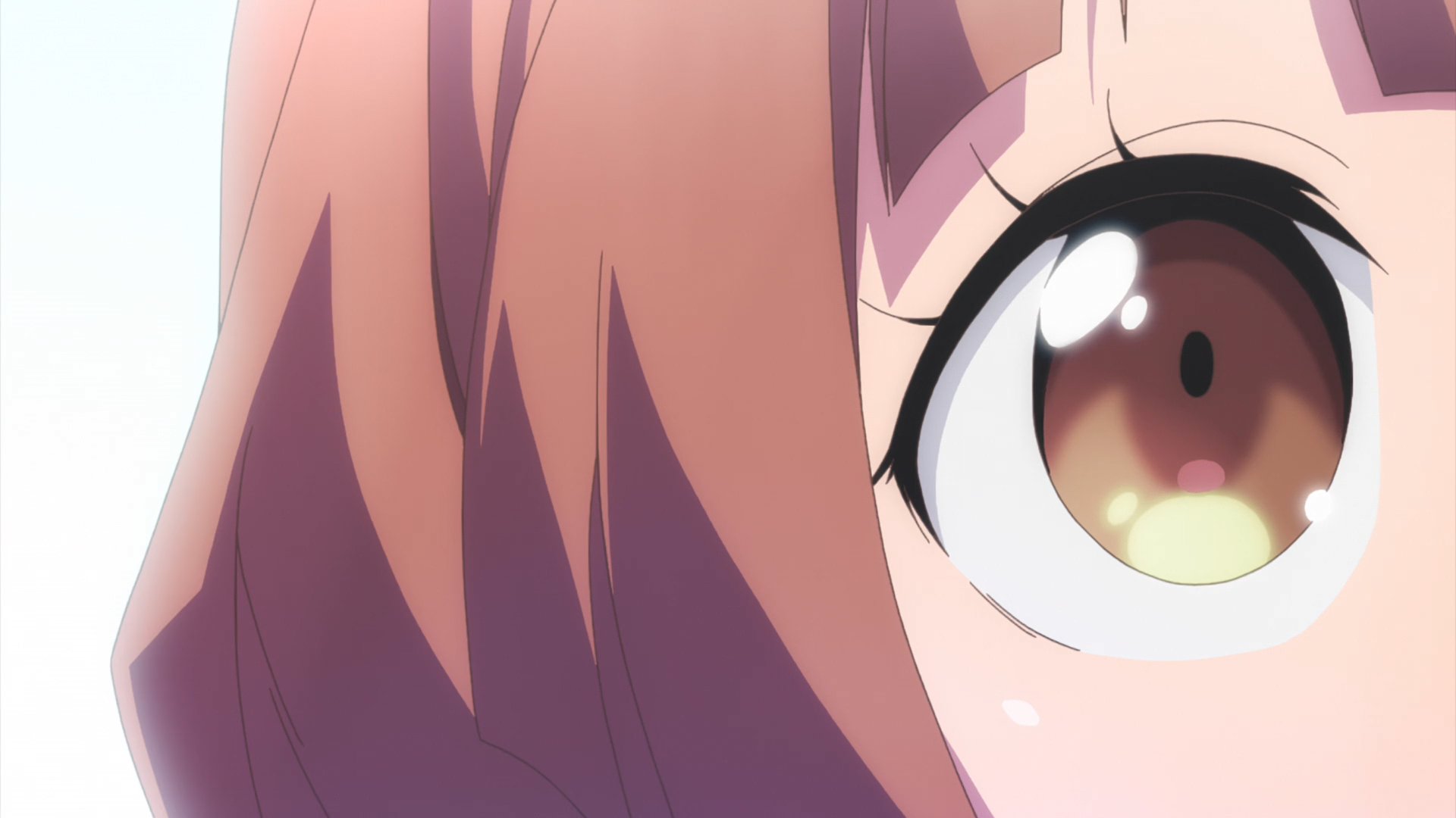 Animegataris (PuyaSubs!)